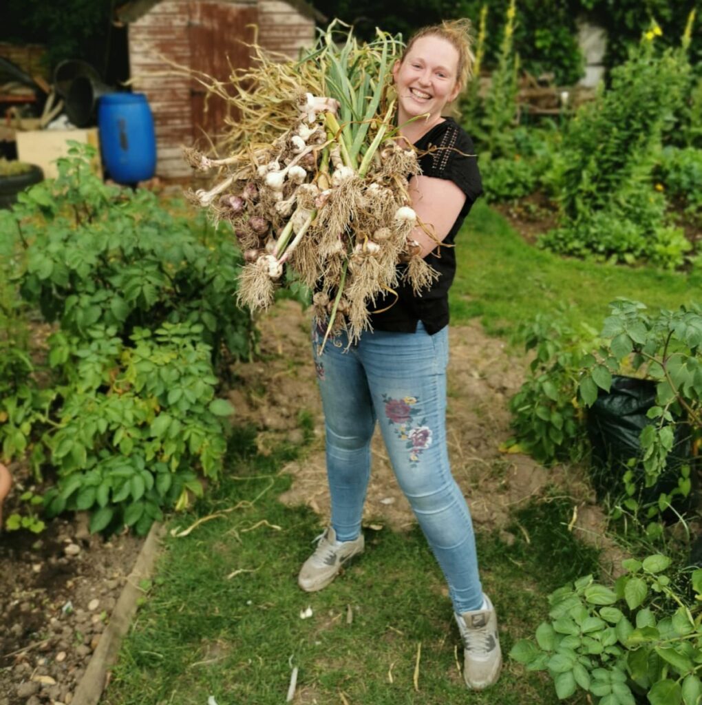 Choosing The Wrong Garlic Varieties