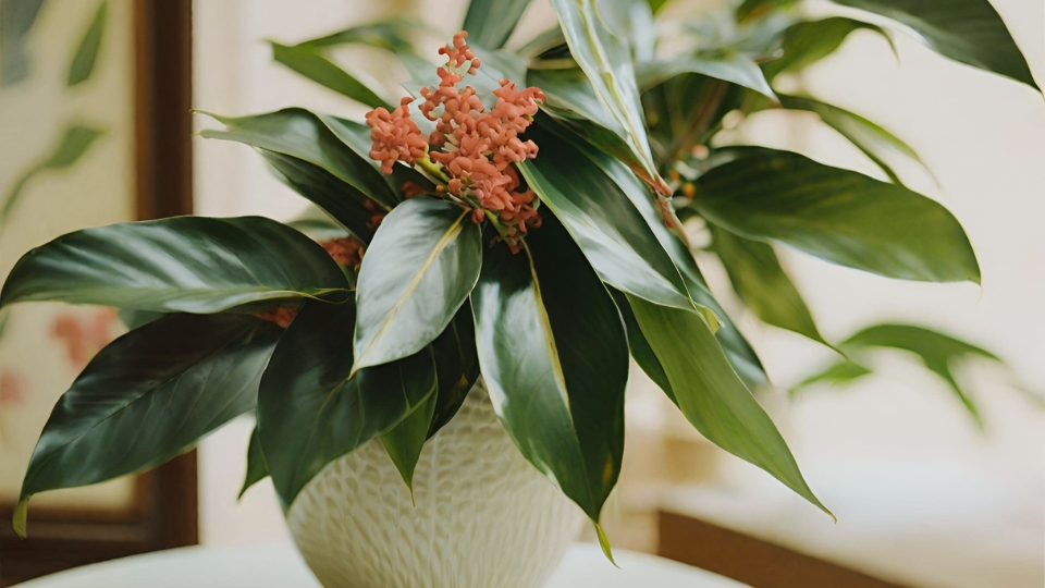 Designing With Ardisia In Indoor Spaces