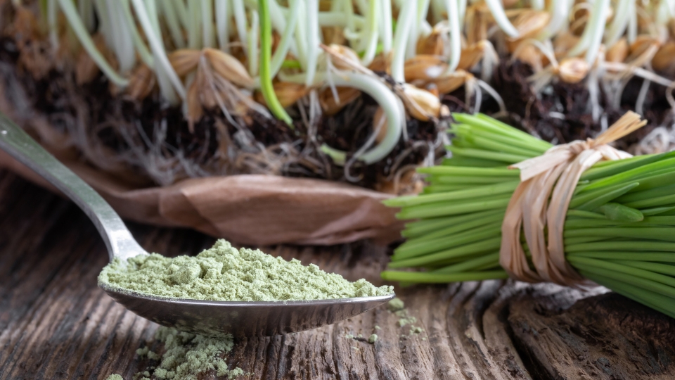 Blending Into Smoothies