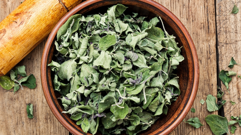 Choosing The Right Environment For Drying