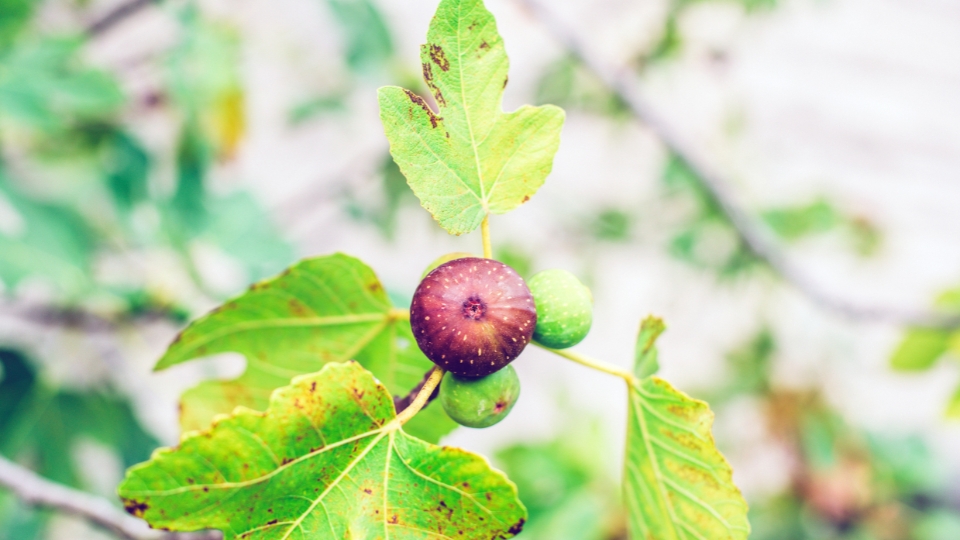 Common Challenges And Troubleshooting