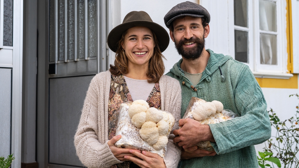 Deciding To Grow Lion's Mane At Home