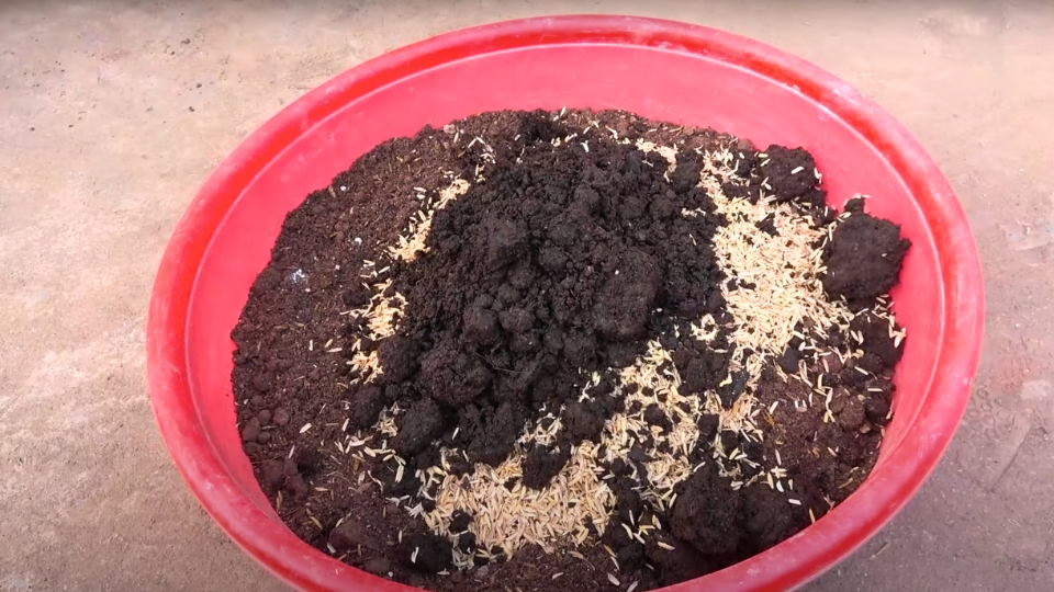 Essential Soil And Fertilizer Mix