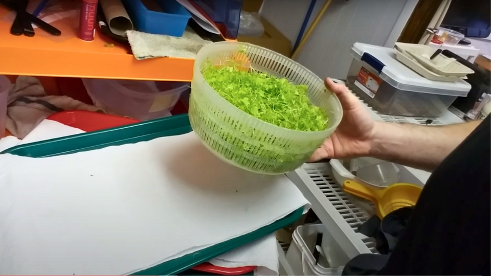 Identifying Microgreens In Your Kitchen