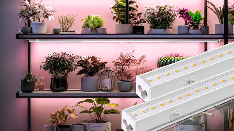 Optimizing Light Spectrum And Timing