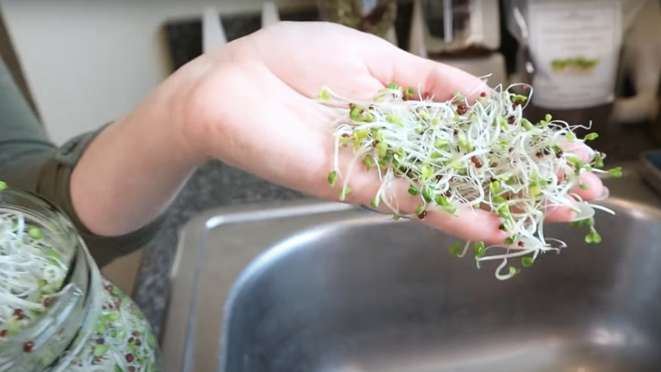 Possible Risks And Precautions