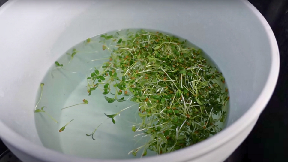 Preparing For The Wash Cycle