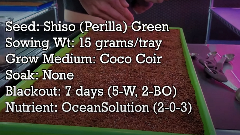 Preparing The Growing Medium