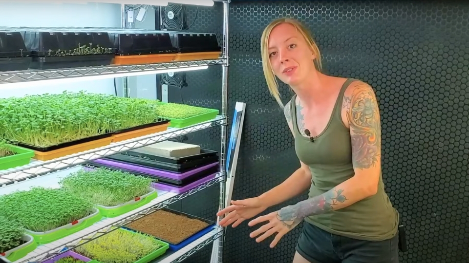 Temperature And Light Requirements