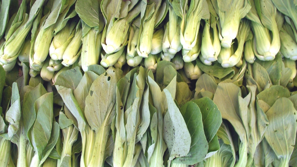 Washing And Handling Precautions