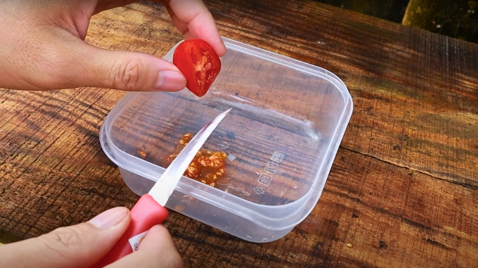 Choosing The Right Cherry Tomato Variety