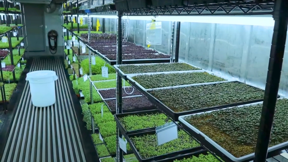 Choosing The Right Lighting Setup