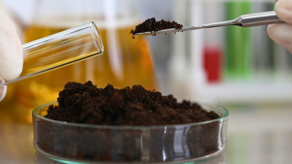 Maintaining Soil Quality Over Time