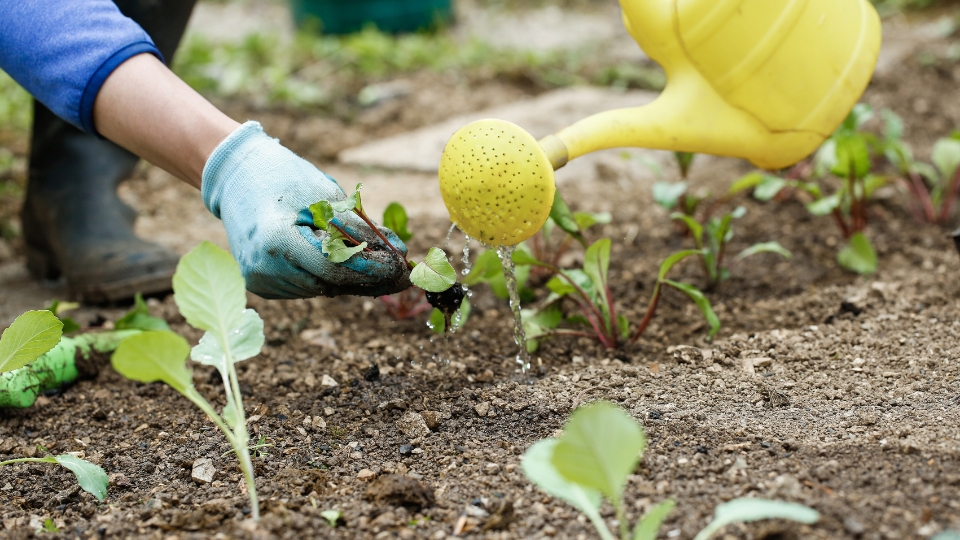 Preparation Before Leaving