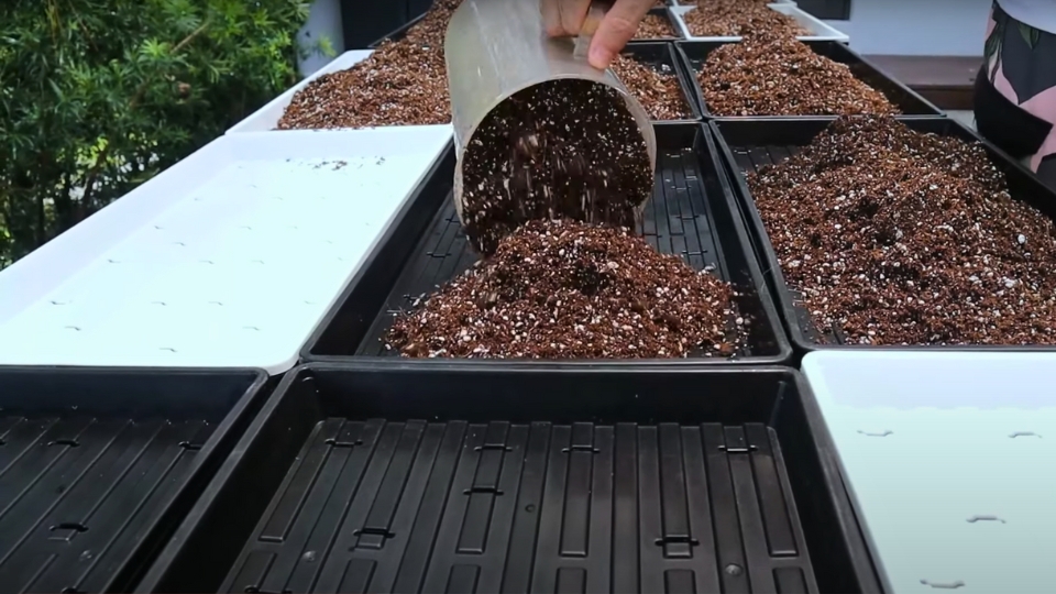 Preparing The Growing Environment