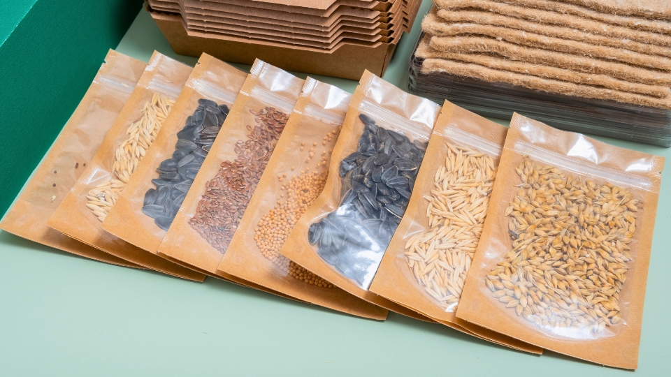 Seed Selection For Speedy Sprouts