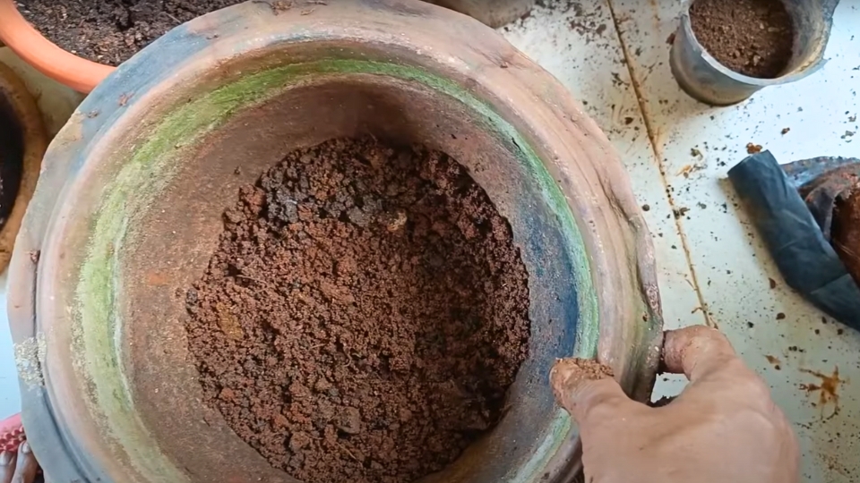 Selecting The Right Pot