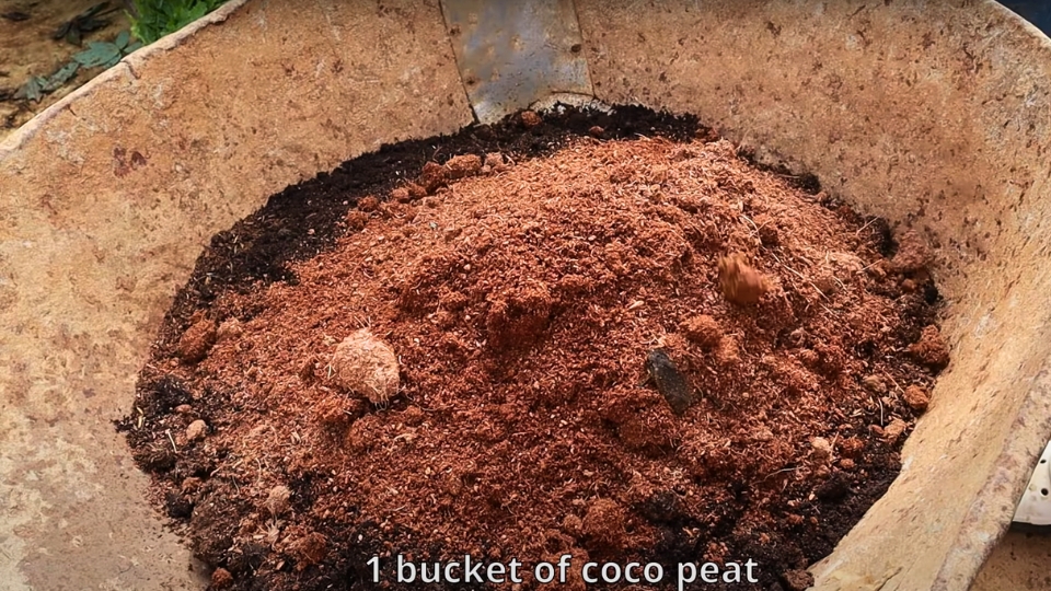 Soil And Compost Mix