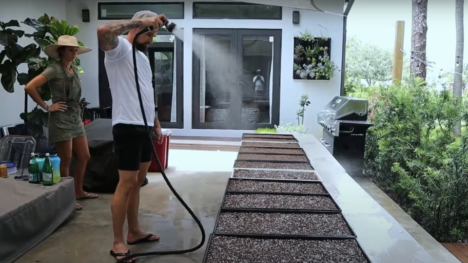 Sowing And Germination