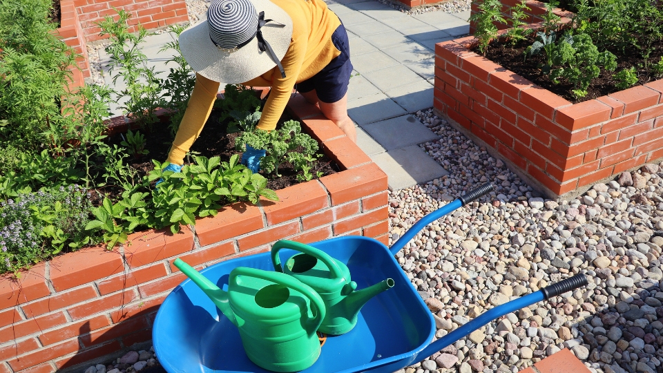 The Appeal Of Self-watering Raised Bed Gardens