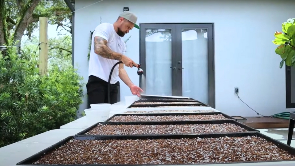 Watering And Fertilizing