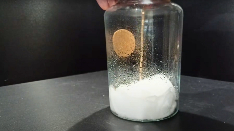 Preparing The Germination Container