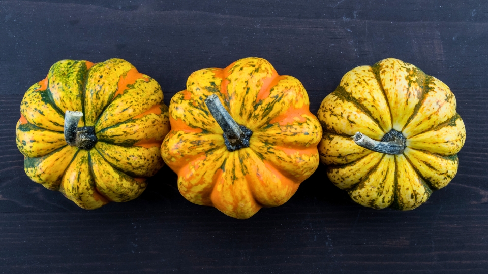 Choosing The Right Acorn Squash Variety