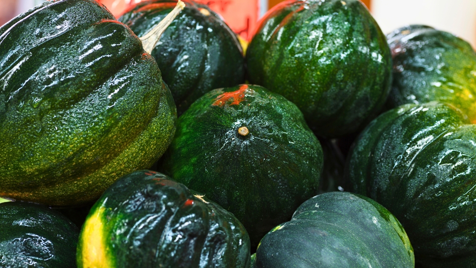 Harvesting And Storing Acorn Squash